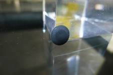 Hasselblad TTL Flash cover