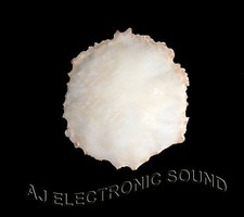 AJ NUOVA TESTA IN VERA PELLE