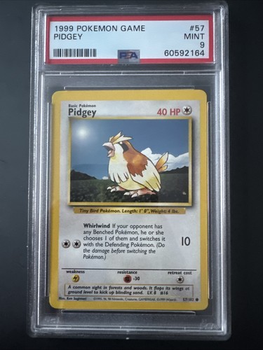 1999 pokémon game - pokémon, pidgey