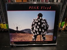 Pink Floyd ~ Delicate Sound Of