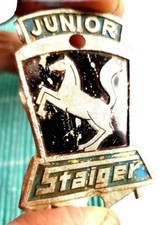 Junior Staiger, Vecchio Scudo