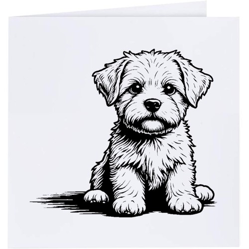 Biglietti auguri maltese - biglietti, 'maltese