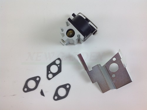Carburatore vaschetta - carburatore,