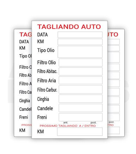 100 tagliando auto - 100,