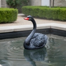 Cigno Galleggiante Decorativo