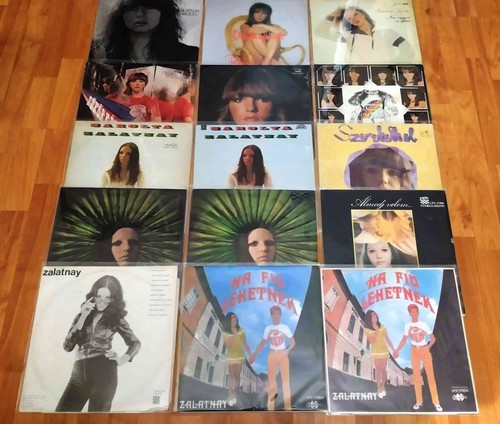 Sarolta zalatnay vinyl record - zalatnay,