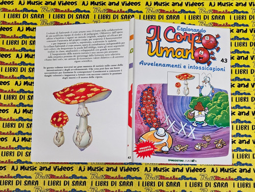 Book libro esplorando corpo - book,