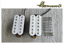 Set Di Pick Up Vintage Alnico