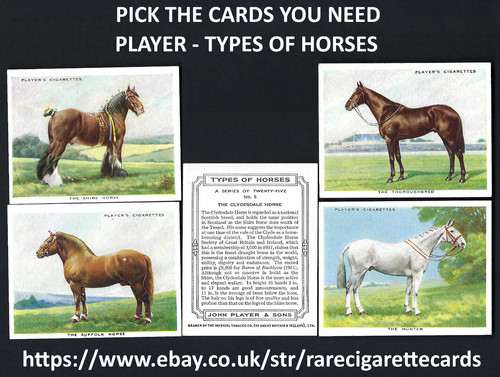 Player types horses - types,