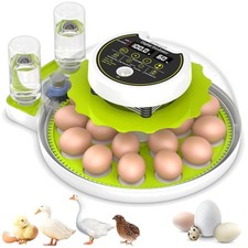 Egg Incubator with Automatic Turning and Humidity Control - Hatches 18 Eggs