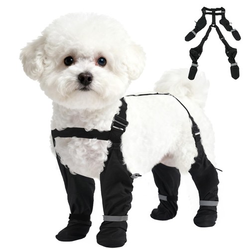 Seranpup scarpe con - seranpup, xs