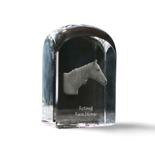 Cavallo da corsa in pensione