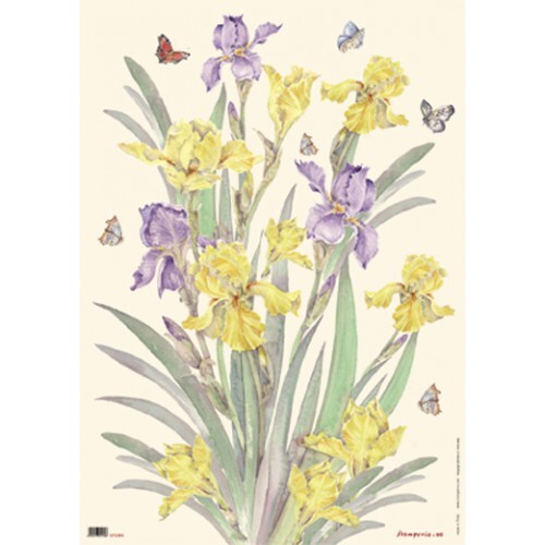 Carta decoupage iris stamperia - carta,