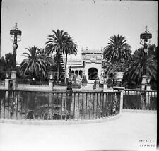 Foto-negativo, Legione Condor