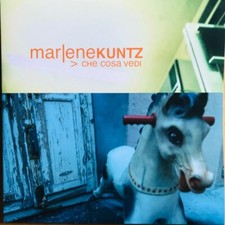 MARLENE KUNTZ – CHE COSA