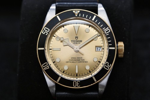 Tudor black bay - black, in