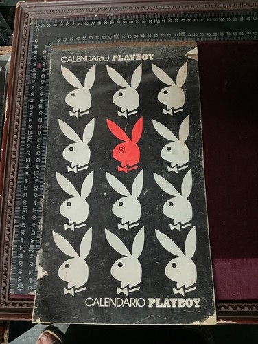 Original playboy calendar 1981 - original,