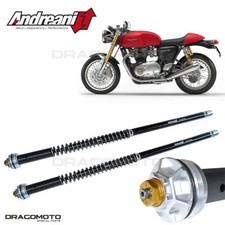 TRIUMPH Thruxton 1200