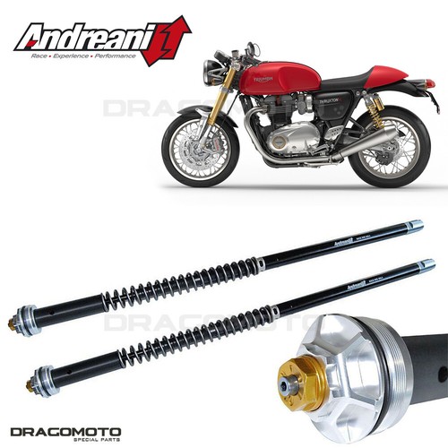 Triumph thruxton 1200 - triumph,