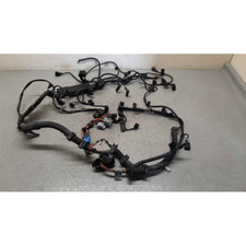 779965803 779965104 CABLAGGIO MOTORE BMW X5 E70 ANNO 2009 3.0TD