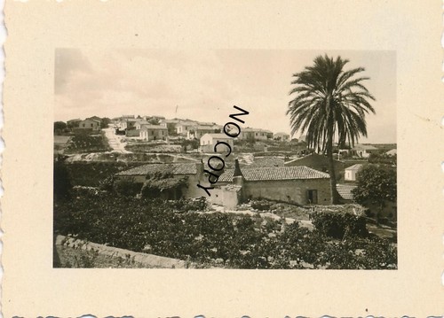 Ww2 foto eraclino con palma - eraclino,