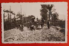 PHOTO FOTO OPERAI CARRO IN LEGNO CON ASINI PIETRAIE  1930 C. ( F 25 )