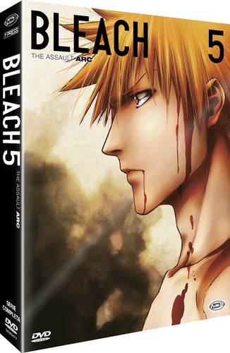 Serie bleach arc 5 the - serie,