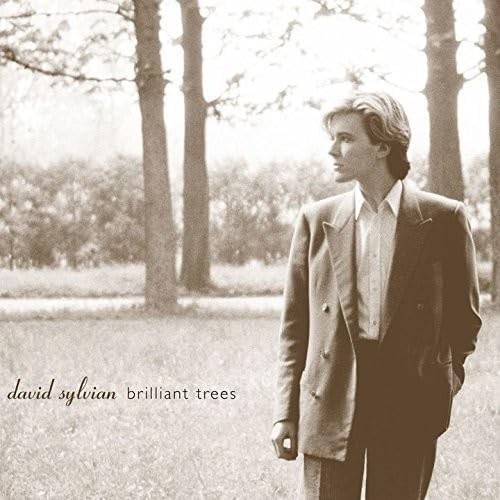 David sylvian brilliant - david,