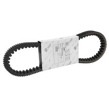 MF8403 Cinghia Trasmissione