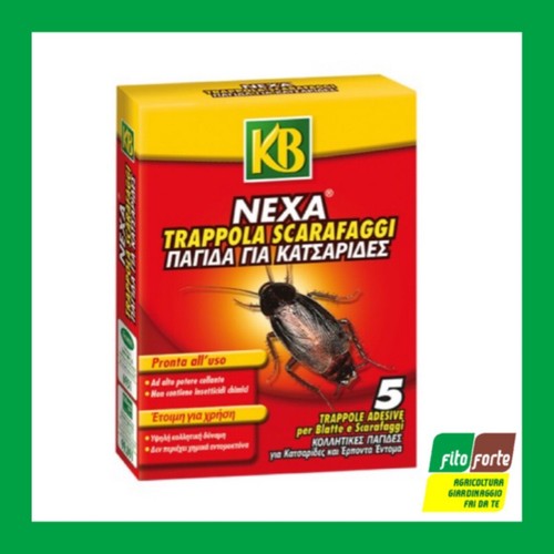 Trappole adesive per - 5,