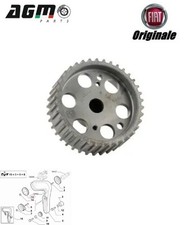 Ingranaggio ruota pompa