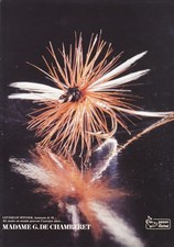 Lot 2 catalogues Pezon &