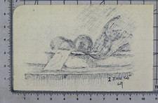 DISEGNO NATURA MORTA PENNA SU