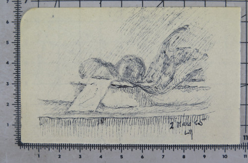 Disegno natura morta penna - natura,