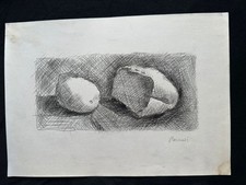 GIORGIO MORANDI disegno e