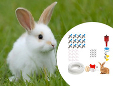 Fontana per coniglio con