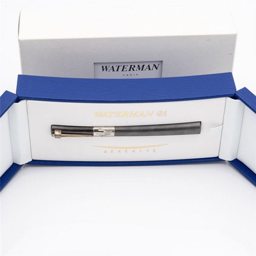 Penna stilografica waterman - stilografica,