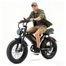Bicicletta elettrica 1000w - elettrica,