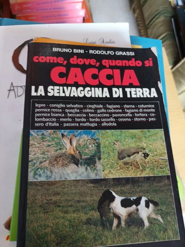 Come dove quando caccia la - come,dove,quando, si
