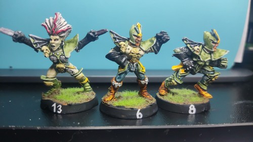 Dark elf blood bowl - , team