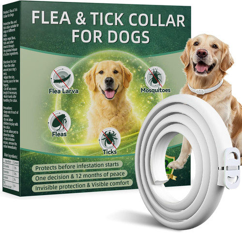 Collare antiparassitario per - collare,