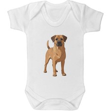 Rhodesian ridgeback dog - ridgeback, dog'