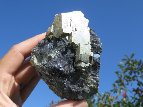 Minerali grande pirite - minerali,