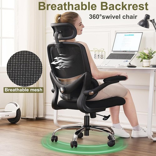 Sedia ufficio ergonomica - sedia,