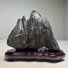 Bonsai di Suiseki Bonseki