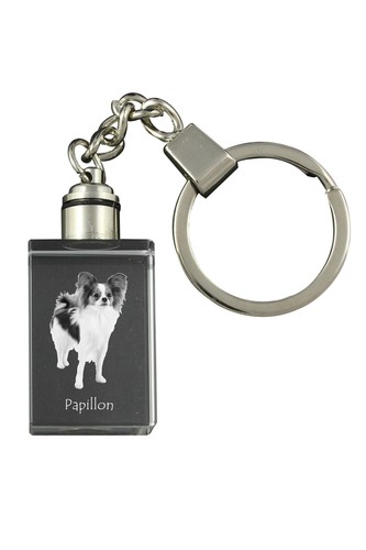 Papillon spaniel nano - spaniel,