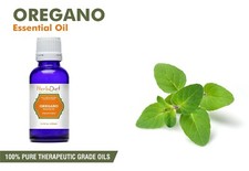 Natural Oregano Essential Oil