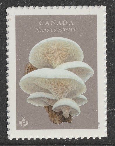 Canada 3503 funghi - canada,