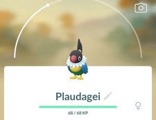 👻PoKeMon Go Plaudagei 0441