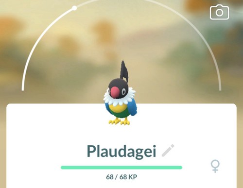 Pokemon plaudagei 0441 - go,